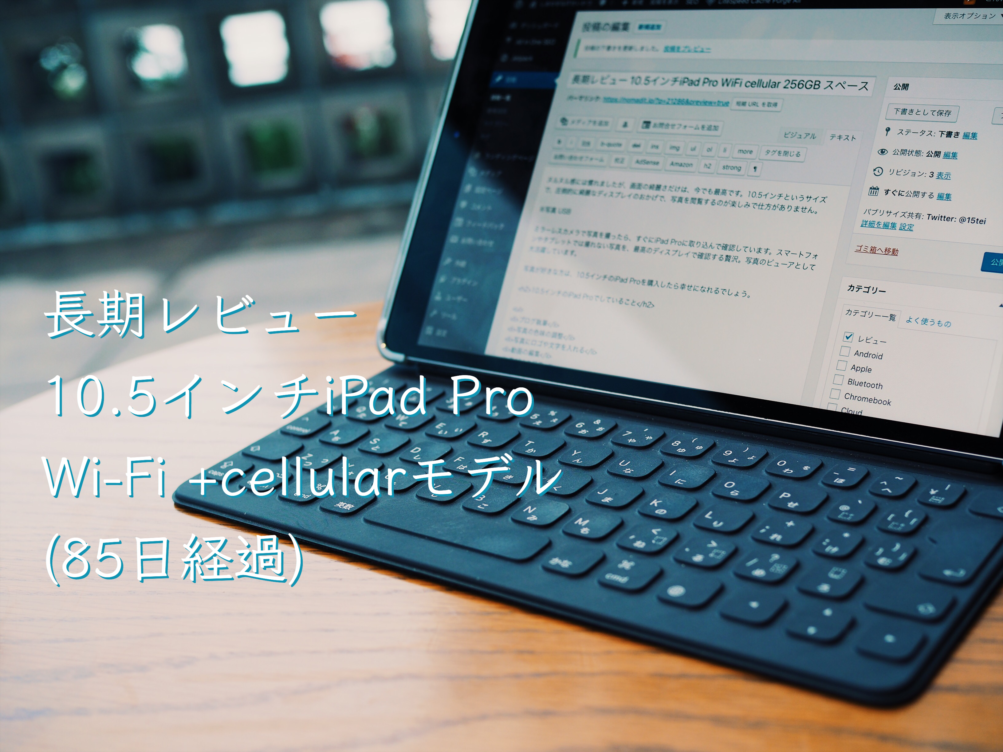 長期レビュー 10.5インチiPad Pro WiFi cellular 256GB スペースグレー(85日経過)